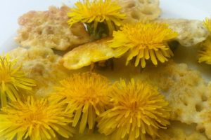 dandelion fritters