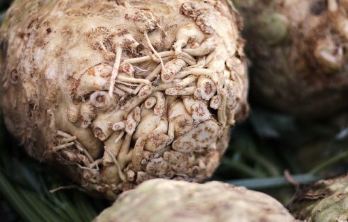 celeriac